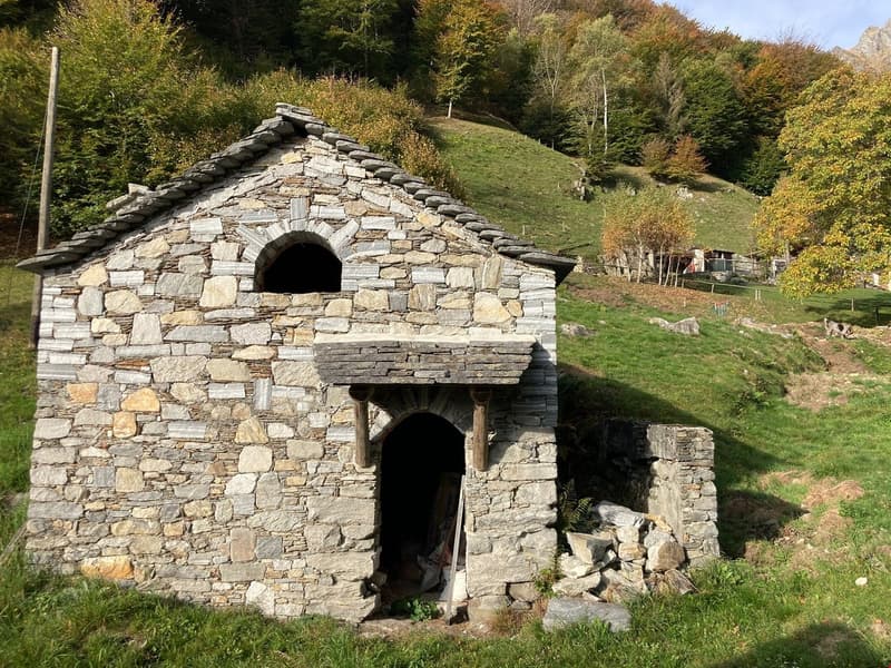 Tessin, Brione s/Minusio, Val Resa - Rustico renovierte mit garten (2)