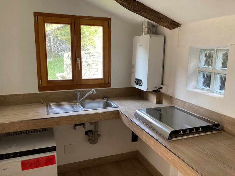 Tessin, Brione s/Minusio, Val Resa - Rustico renovierte mit garten (6)