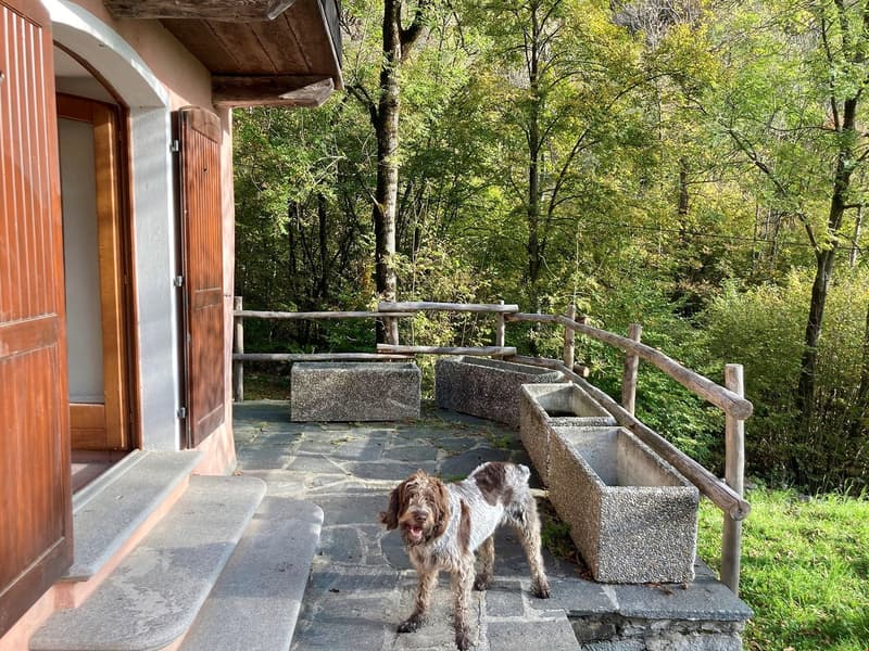 Brione s/Minusio, Val Resa - 2 Rustici con terreno, rinnovati (14)