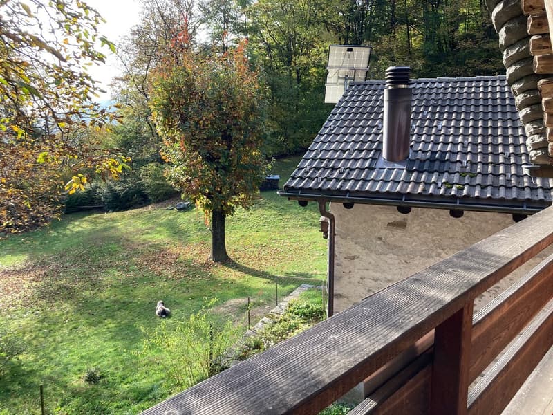 Brione s/Minusio, Val Resa - 2 Rustici con terreno, rinnovati (9)