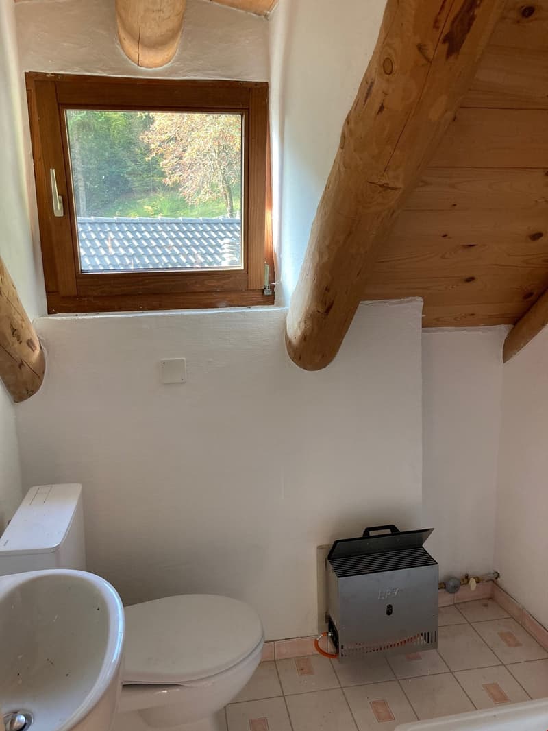 Brione s/Minusio, Val Resa - 2 Rustici con terreno, rinnovati (10)