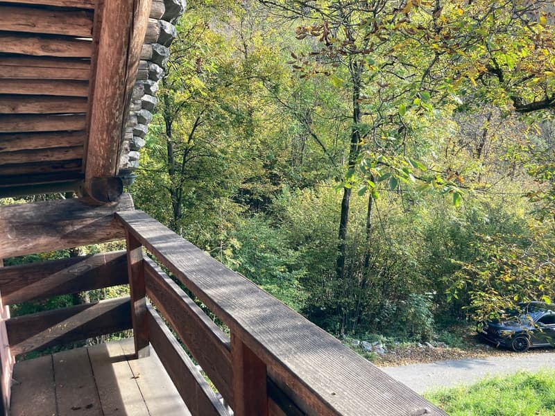 Brione s/Minusio, Val Resa - 2 Rustici con terreno, rinnovati (11)