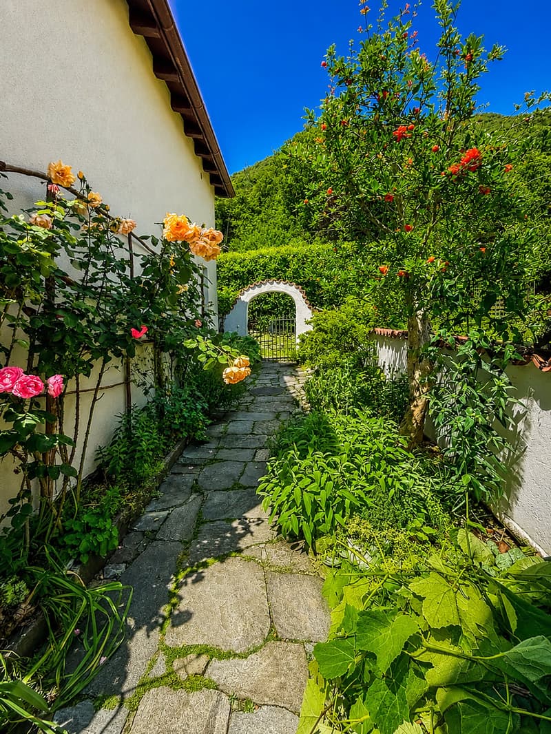 Zweitwohnsitz - Charmantes typisches Tessiner Haus/Rustico (11)