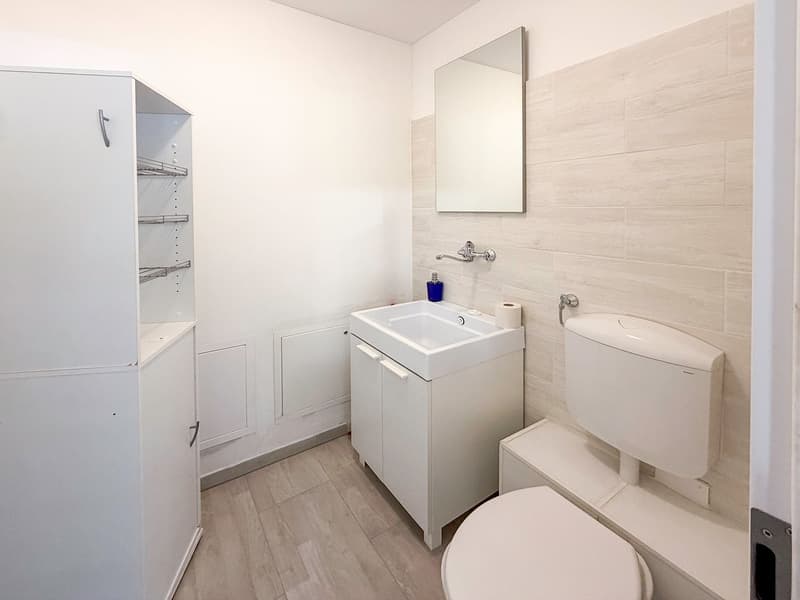 Casa con 4 appartamenti - Haus mit 4 Wohnungen - Vogorno (5)