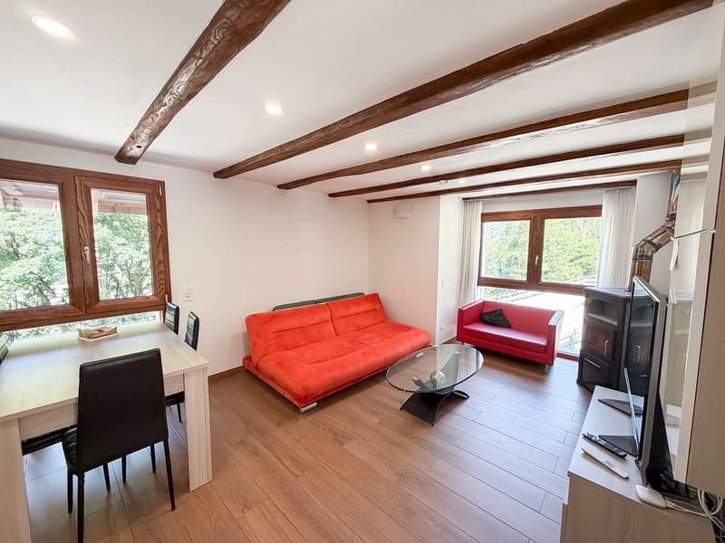 Casa con 4 appartamenti - Haus mit 4 Wohnungen - Vogorno (21)