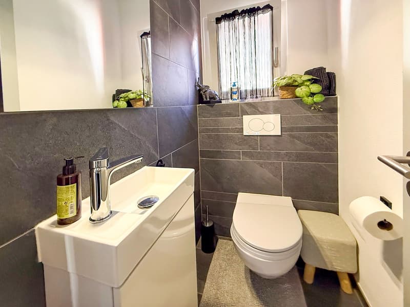 Splendida casa plurifamiliare di 10 locali a Solduno (37)