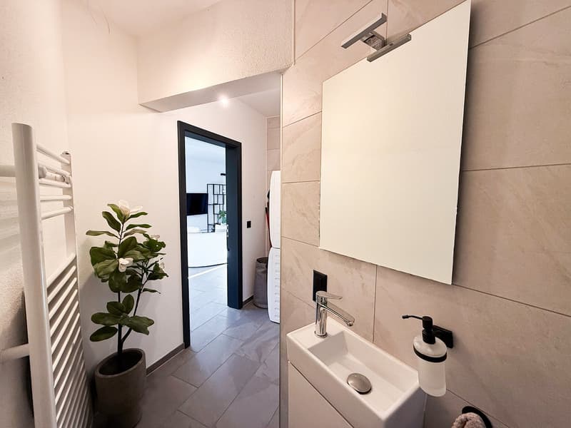 Splendida casa plurifamiliare di 10 locali a Solduno (15)