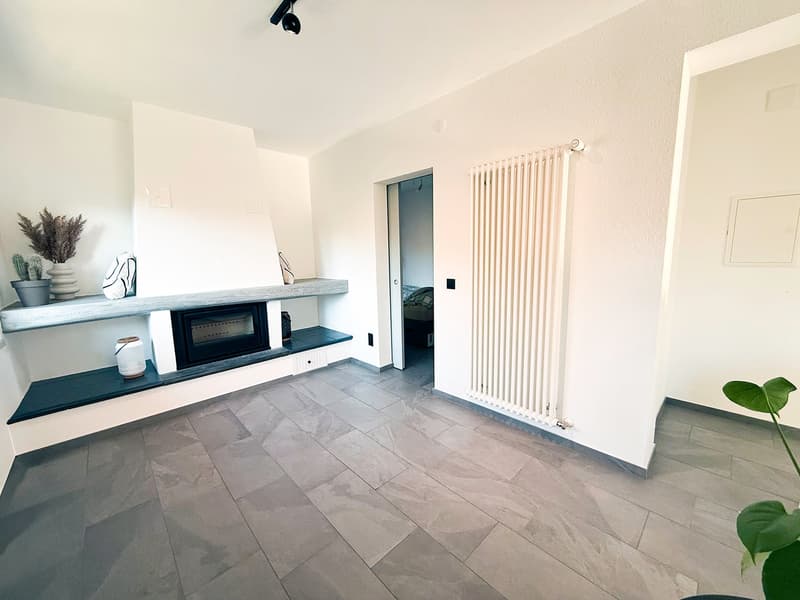 Splendida casa plurifamiliare di 10 locali a Solduno (13)