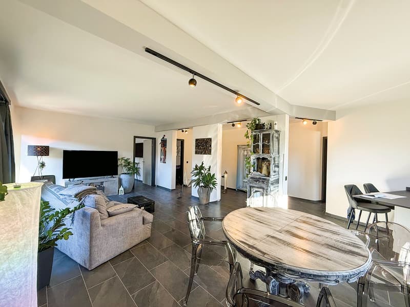 Splendida casa plurifamiliare di 10 locali a Solduno (33)