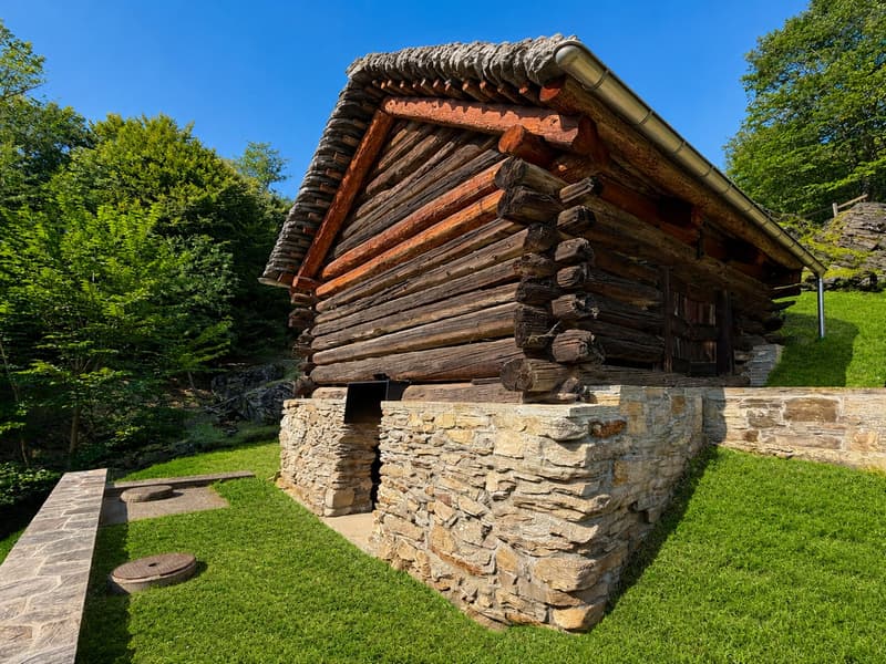Rustico im Wald - Zweitwohnsitz - Mogno, LavizzaraTal (10)