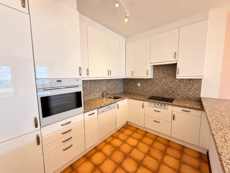 4.5 locali con splendida vista sul lago (11)