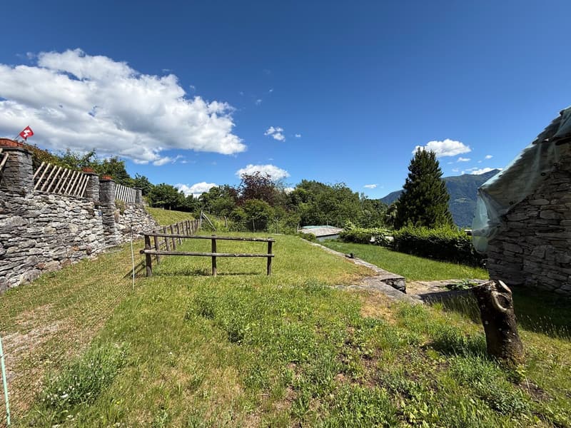 Rustico im historischen Zentrum von Viona- Brione Sopra Minusio (23)