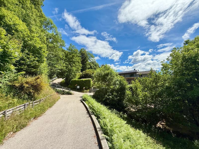 Rustico im historischen Zentrum von Viona- Brione Sopra Minusio (22)