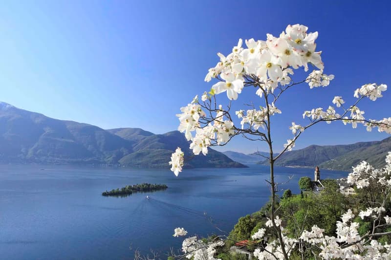 Renditeobjekt! Abitazione primaria: 2.5 locali con vista lago – ideale a reddito (15)