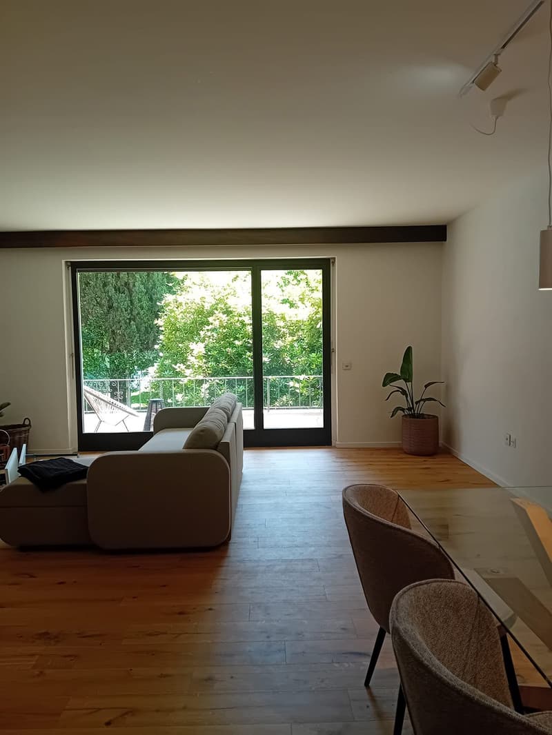 Monolocale ristrutturato con balcone ad Ascona (7)