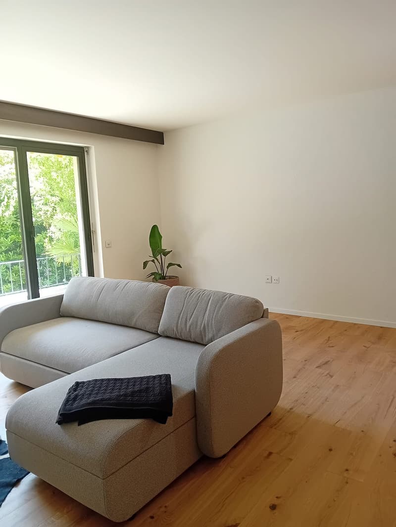 Monolocale ristrutturato con balcone ad Ascona (6)