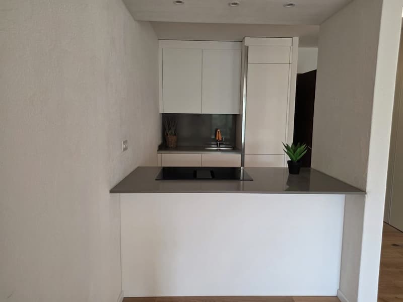 modern kitchen, white cabinets, black countertop, stainless steel sink, potted plant, wooden floor