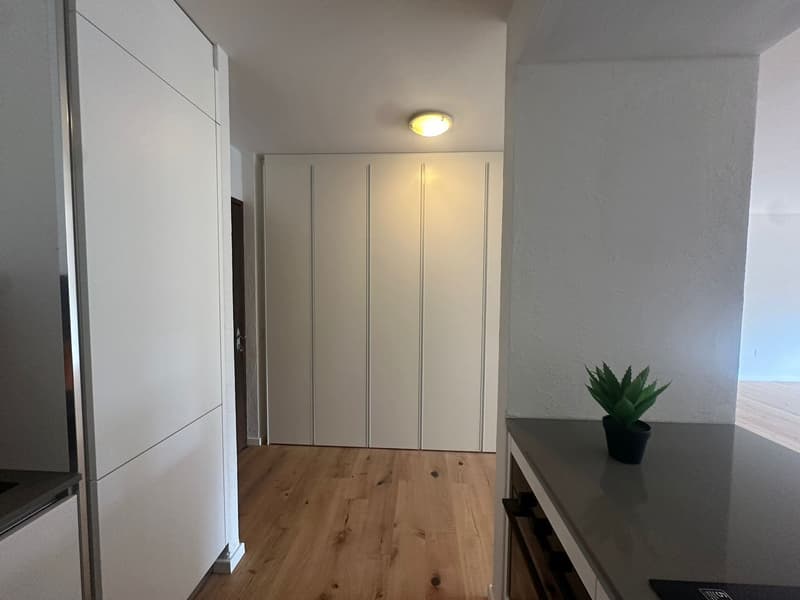 Empty room with white walls, wooden floor, white sliding doors, and a small potted plant on the countertop.