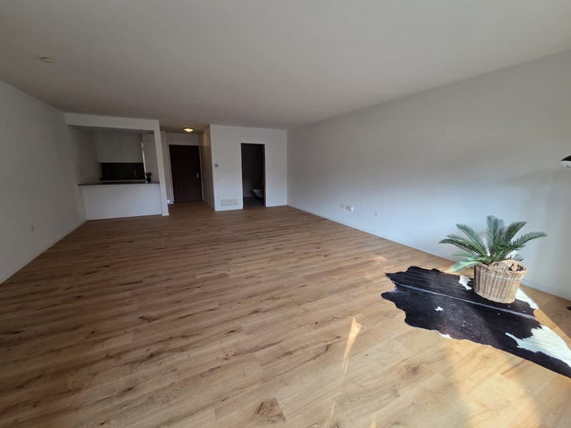 empty room, wooden floor, white walls, plant, rug, kitchen area, door, power outlets