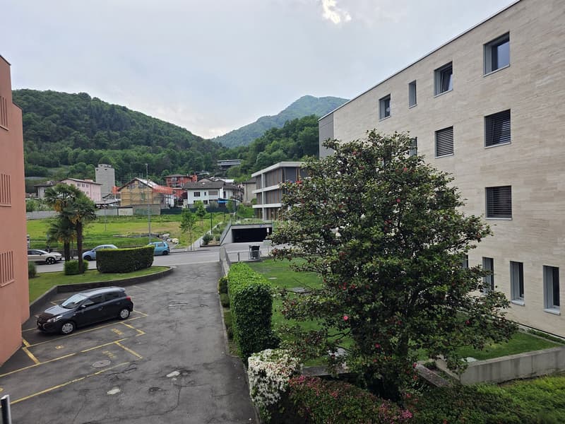 Accogliente appartamento di 2.5 locali a Losone (11)
