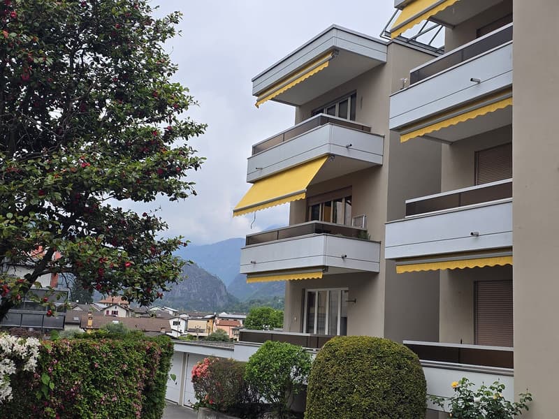 Accogliente appartamento di 2.5 locali a Losone (13)