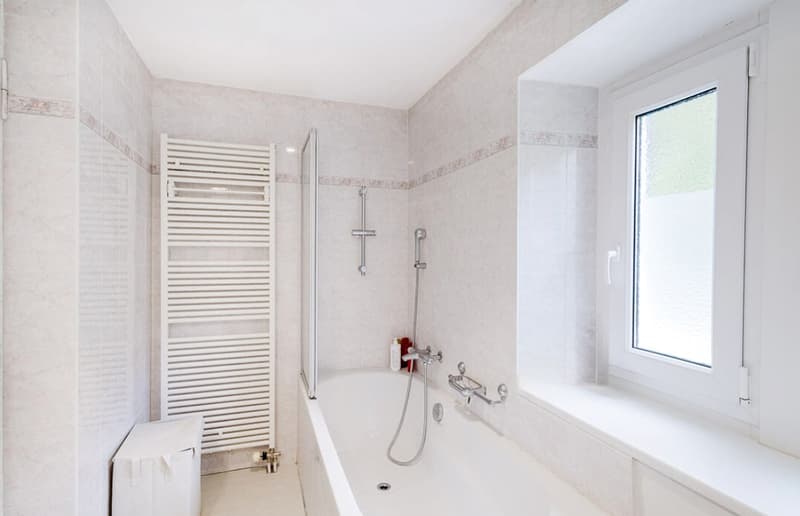 House with 3.5, 2.5 rooms, independent studio, garden and balconies. (9)