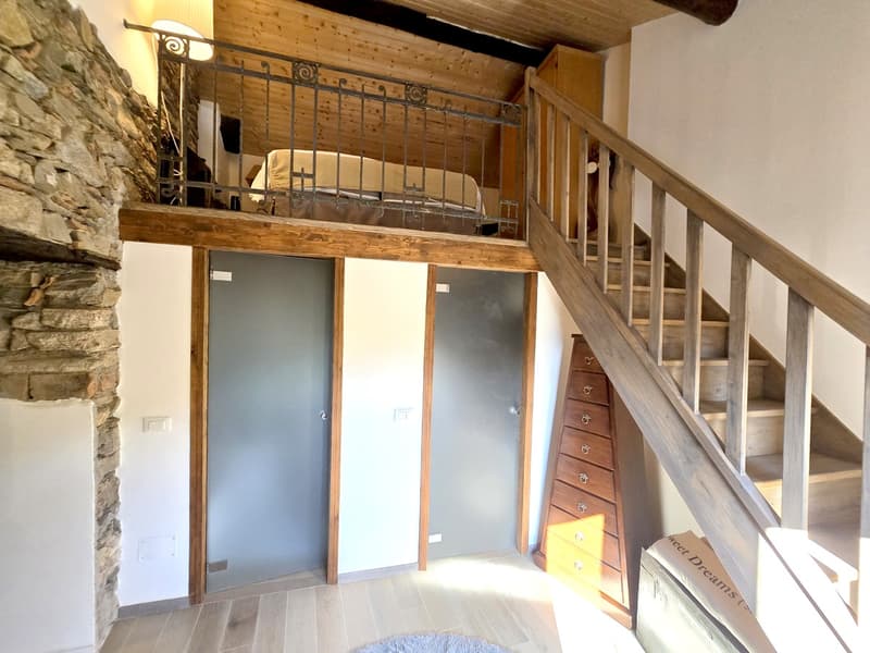 Beautiful house with 3.5 and 2.5 rooms, renovated and with beautiful outdoor areas. (7)