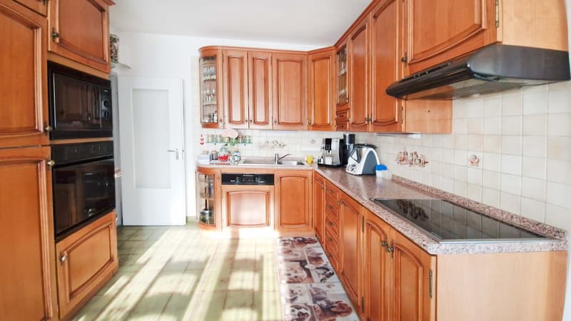 Großes 9-Zimmer-Einfamilienhaus mit Garten, Spa und Grotte (3)