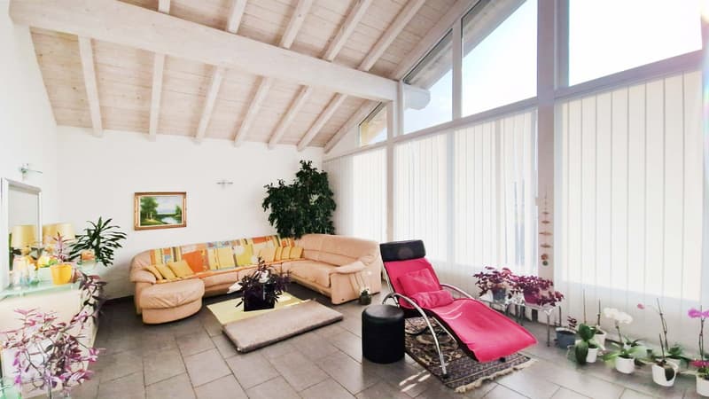 Großes 9-Zimmer-Einfamilienhaus mit Garten, Spa und Grotte (4)
