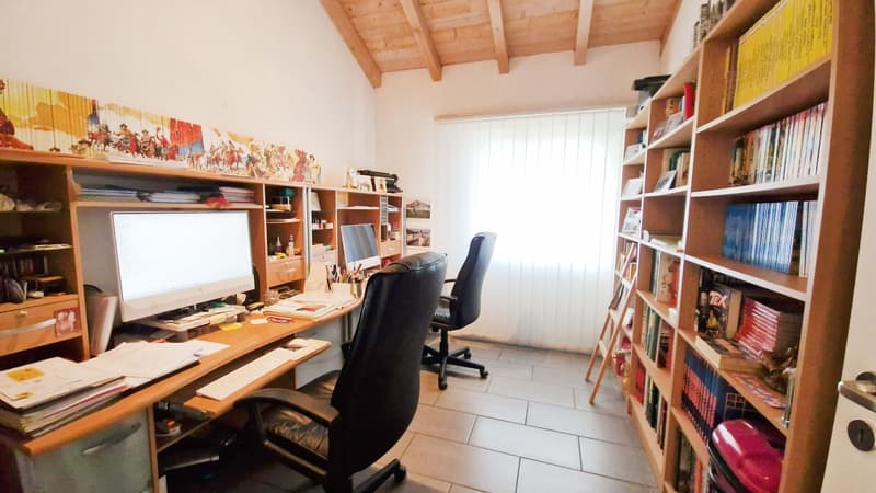Großes 9-Zimmer-Einfamilienhaus mit Garten, Spa und Grotte (10)