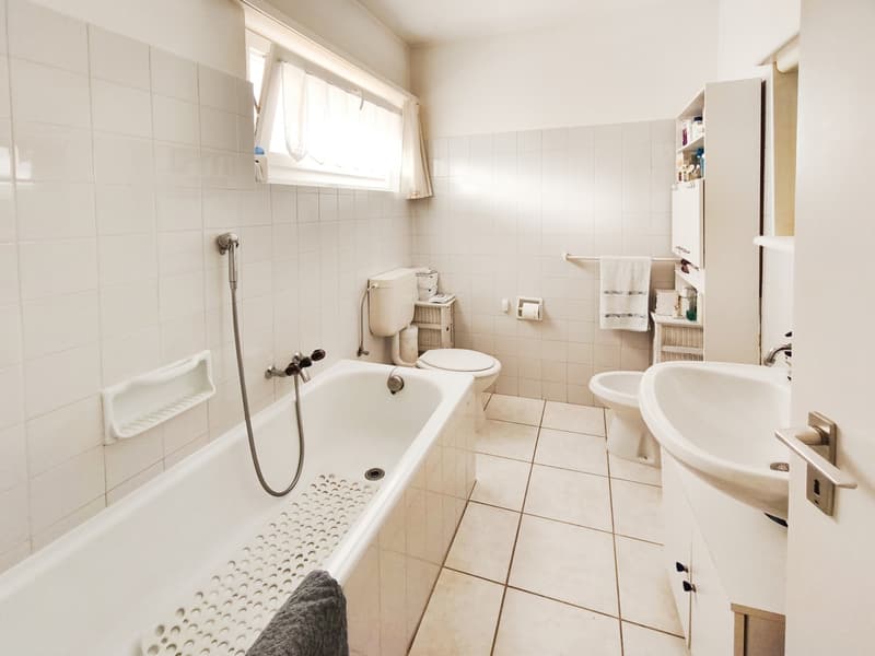 Appartements adjacents 3,5+2,5 avec terrasses et vue sur Brè (8)