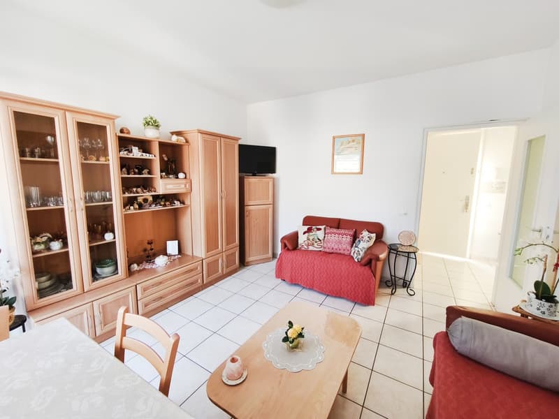 Appartements adjacents 3,5+2,5 avec terrasses et vue sur Brè (2)