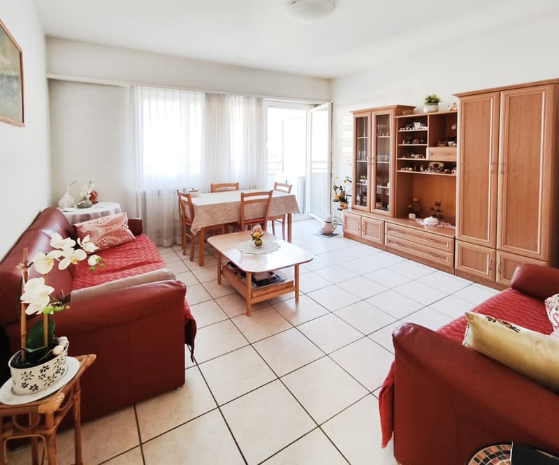 Appartements adjacents 3,5+2,5 avec terrasses et vue sur Brè (1)