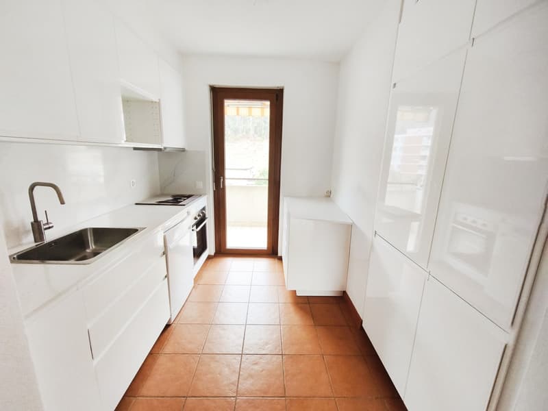 Top floor 4.5 renovated with terraces and lake view (2)