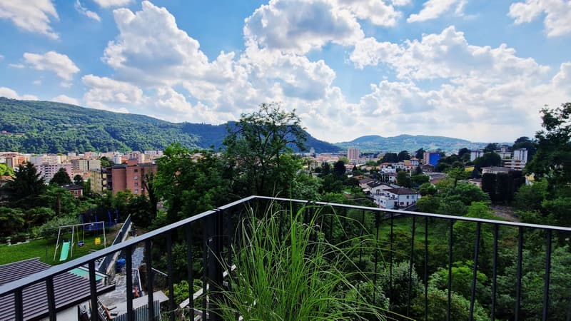 Beautiful 3.5-room apartment with two terraces, recently built (10)