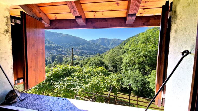 Ticino house 5.5 in the peace of nature with wonderful panorama (7)