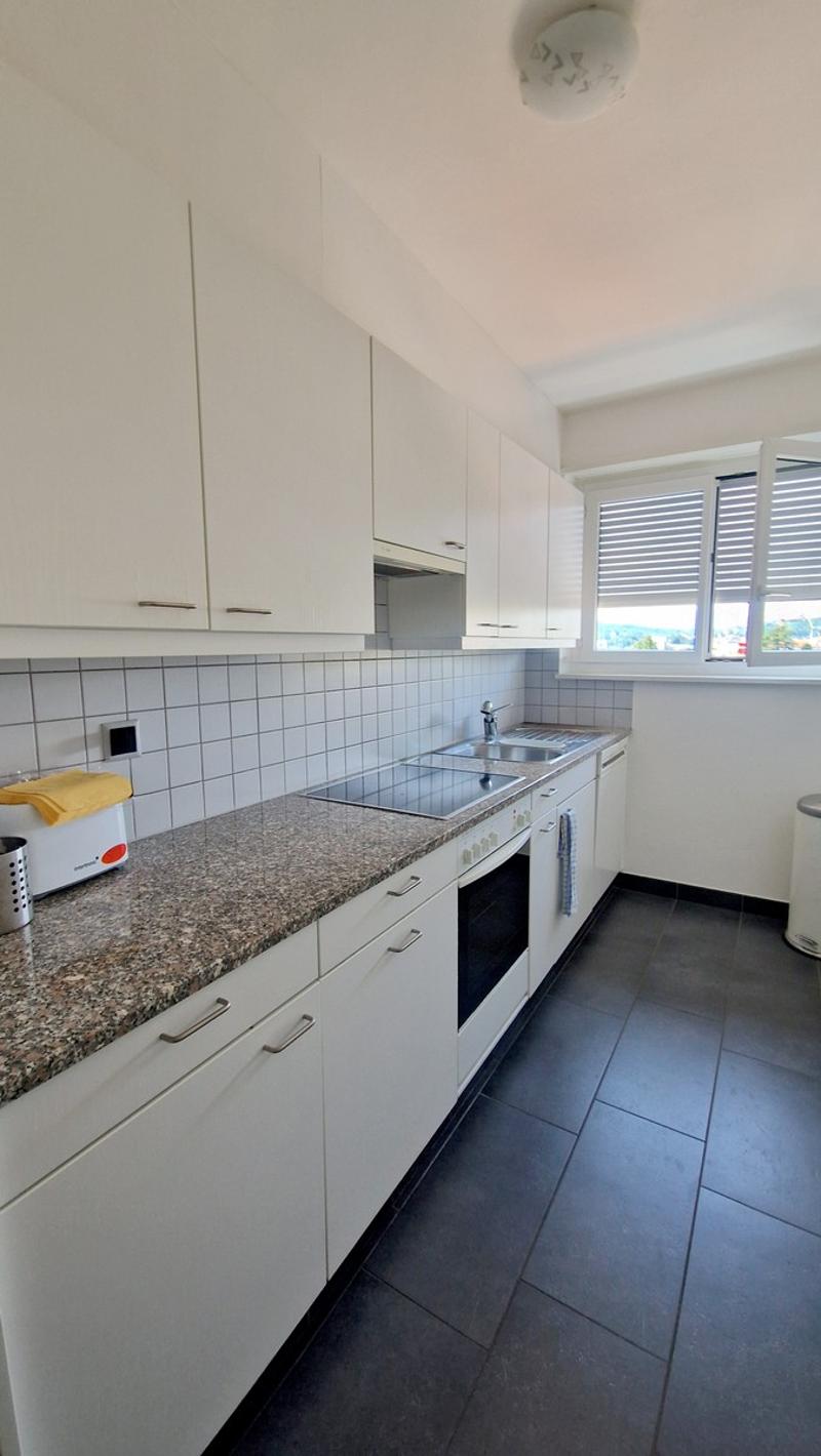 Beautiful 3.5-room panoramic apartment completely renovated in modern style. (8)