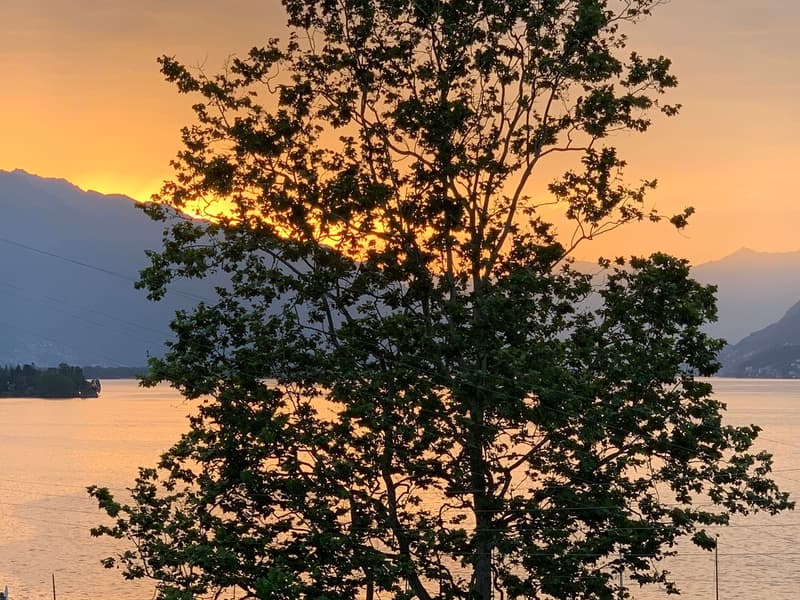 Appartement spacieux 5,5 pièces avec jardin et terrasse donnant sur le lac à Brissago (8)