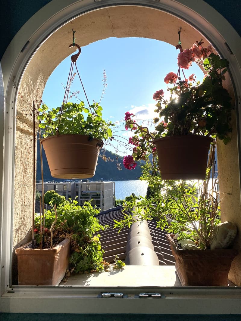 Appartement mit 4 Zimmern, Charme und Panoramaturm (11)