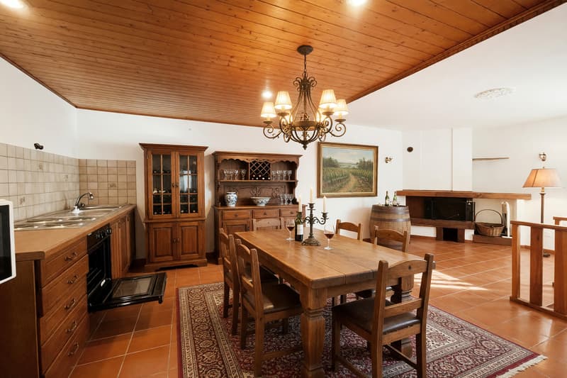 Einfamilienhaus mit 7,5 Zimmern, Garten und Panoramaterrassen (11)