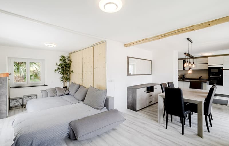 Haus mit 3,5, 2,5 Zimmern, eigenem Studio, Garten und Balkonen. (1)