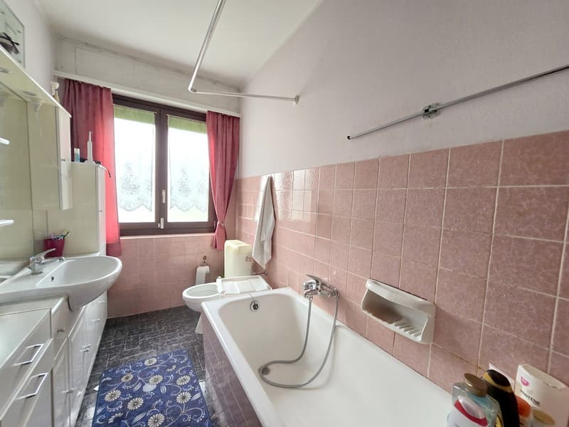 Schöne Doppelhaushälfte 3,5 und 2,5 Zimmer, renoviert mit Garten (10)