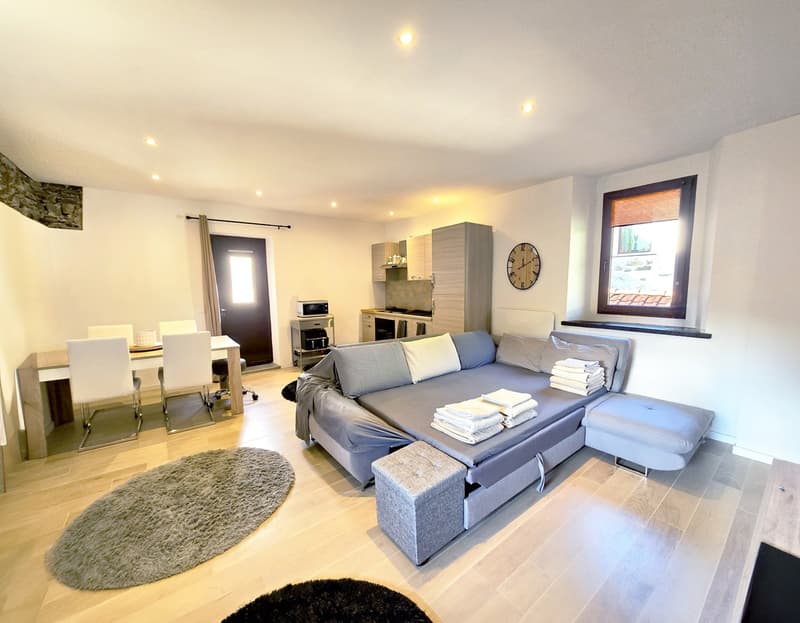 Schönes Haus mit 3,5 und 2,5 Zimmern, komplett renoviert und mit wunderschönen Außenbereichen. (2)