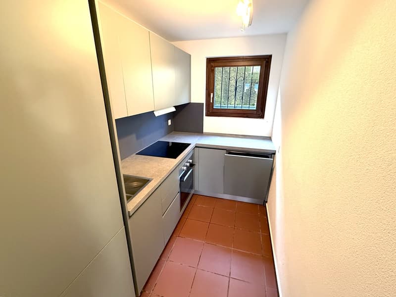 Belle maison 6 pièces avec jardin et terrasse panoramique rénovés (6)