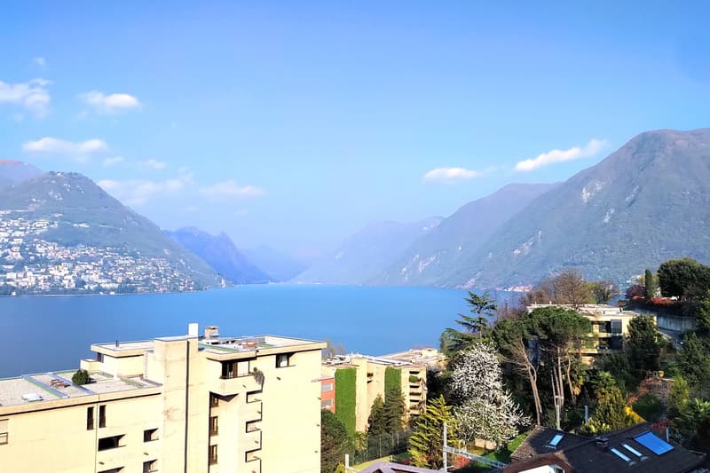 Appartement 4,5 pièces merveilleux avec vue sur le lac, rénové, standing moyen à élevé (2)