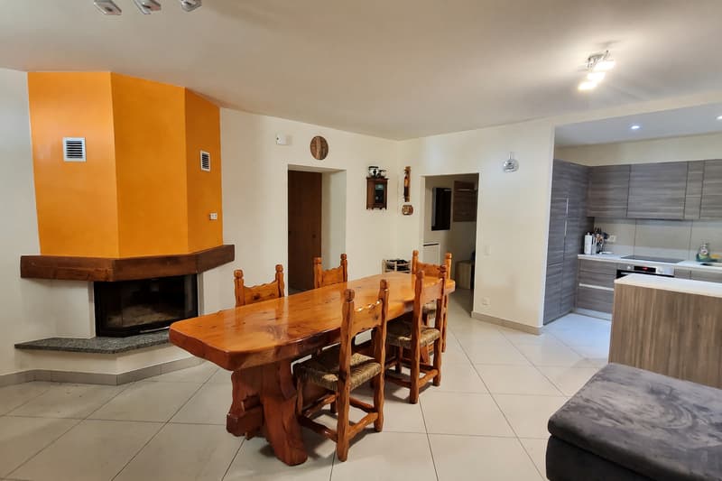 Appartement 4,5 pièces rénové avec terrasse et cheminée (1)