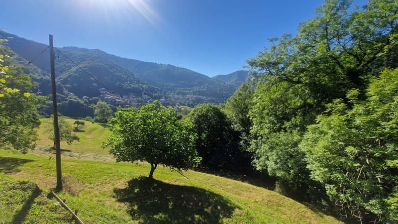 Maison tessinoise 5,5 dans la paix de la nature avec un panorama merveilleux. (13)