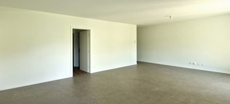 Wunderschöne neue 3,5-Zimmer-Wohnung mit hohem Standard und privatem Garten. (7)