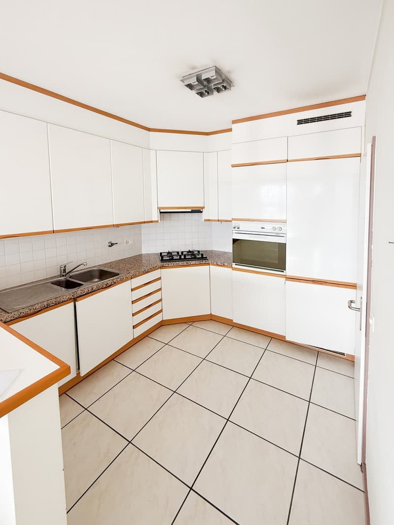 Bel appartement 4,5 pièces avec terrasse et vue sur Lugano Ronchetto (4)