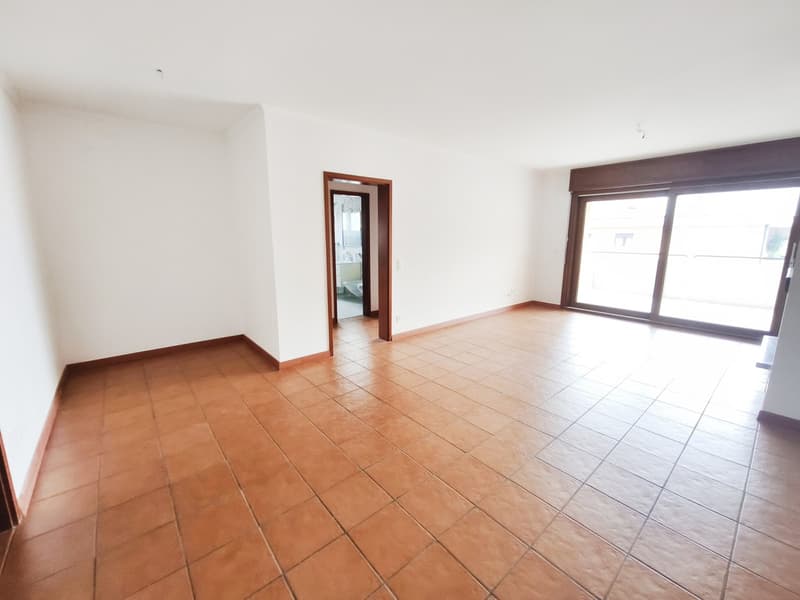 Top floor 4.5 renovated with terraces and lake view (3)